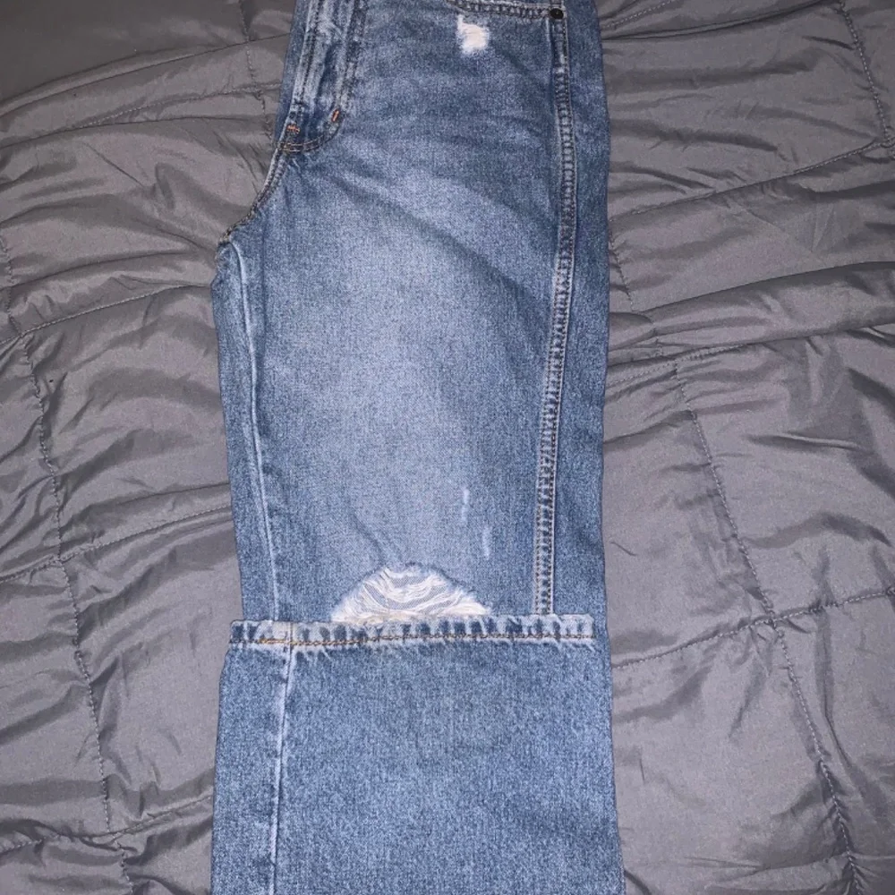 Clothes - Picture 6 of 11